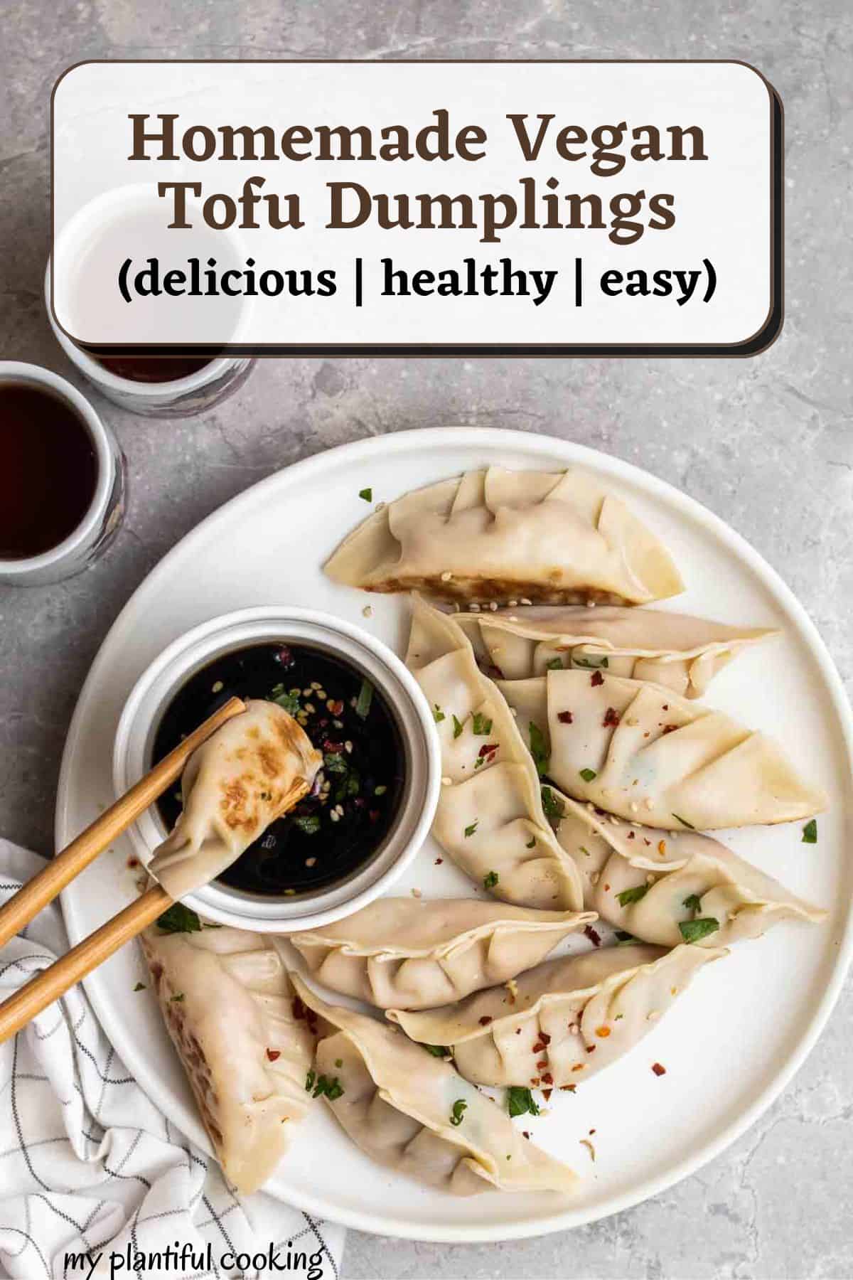 Vegan Chinese Tofu Dumplings My Plantiful Cooking