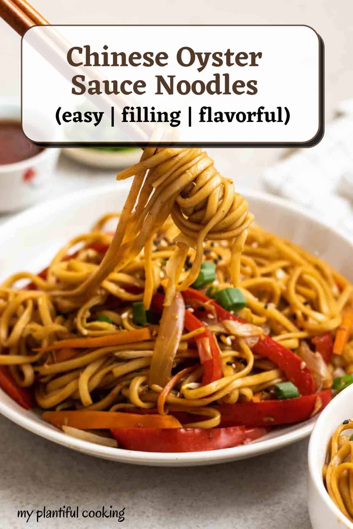 Stirfry Noodles with Oyster Sauce My Plantiful Cooking