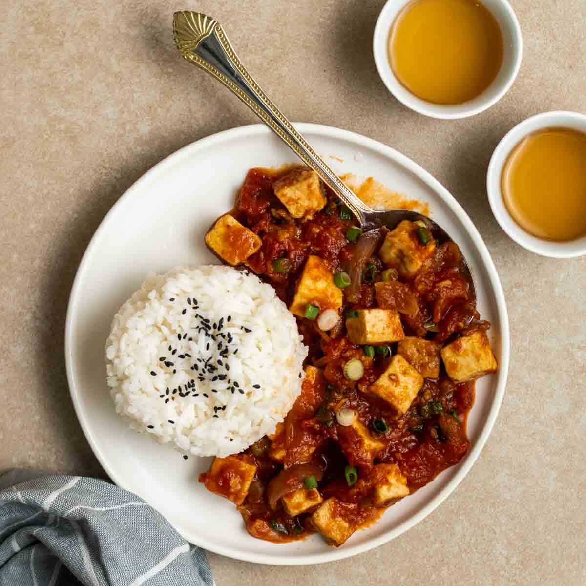Vietnamese Tofu in Tomato Sauce